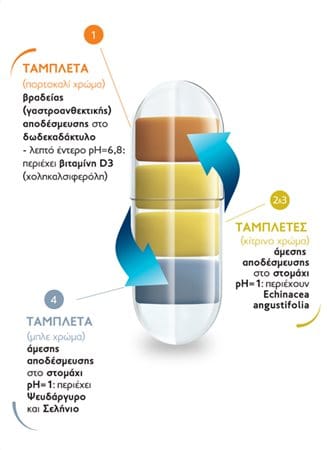 Frezyderm Immuno Συμπλήρωμα Διατροφής για το Ανοσοποιητικό 30 Κάψουλες 2 ferzyderm_imuno_cao