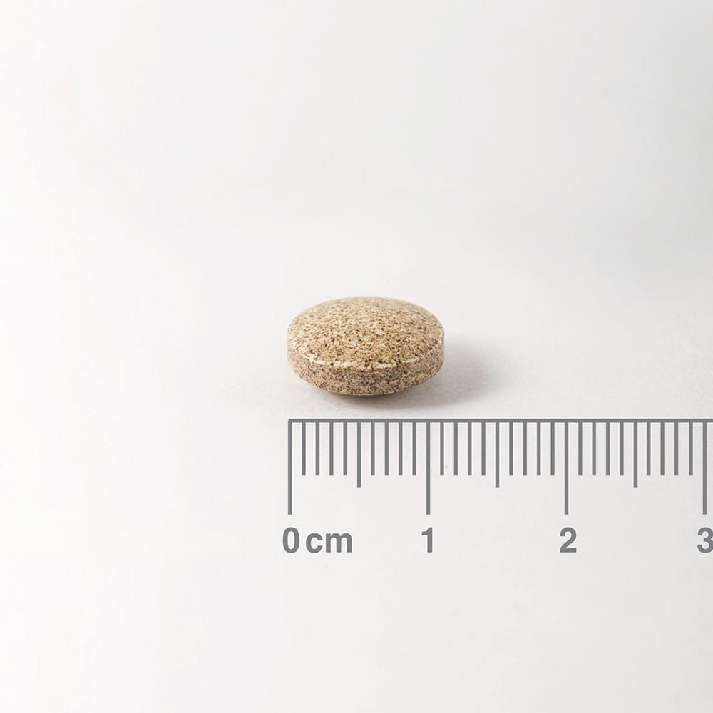 Lamberts Ginkgo Biloba Extract 6000mg 180 Tαμπλέτες 2 8542_1